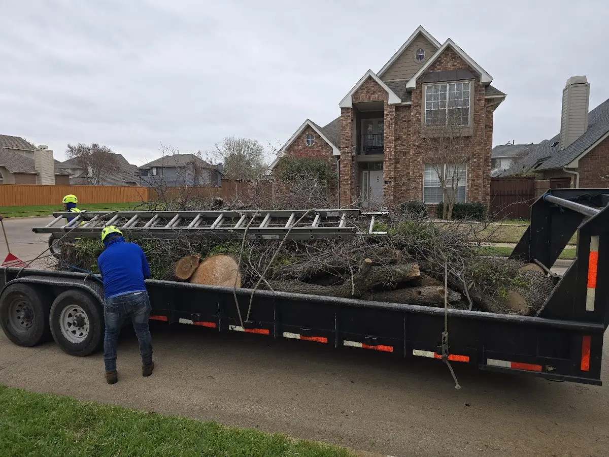 Expert Tree Fertilization with proper safety equipment in Cherry Valley